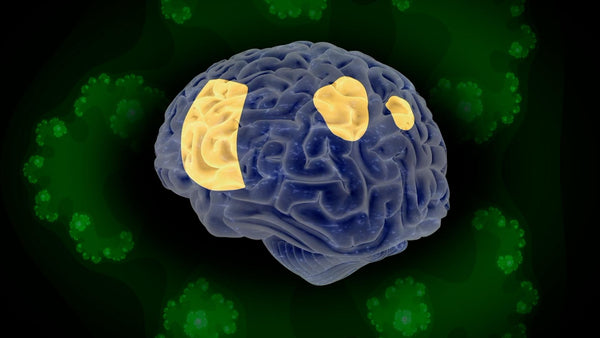 Therapeutic Potential of Entheogens: What Science Says About Healing and Recovery